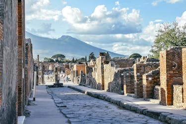 Pompeii and Herculaneum select tour